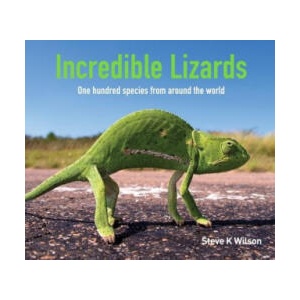 Incredible Lizards | Steve K. Wilson (ISBN: 9781925546989)