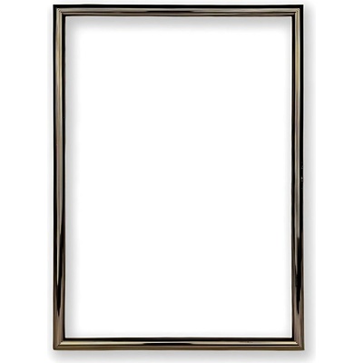 Fotorámeček BF Rozměr: A4 - 21 x 29,7 cm, Barva: Zlatý proužek, Typ zasklení: Plexi