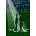 The X-Files the Truth Is Still Out There: Thirty Years of the X-Files | Jones, Bethan