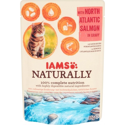 IAMS Cat Adult losos v omáčke 85 g