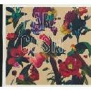 WASHED OUT: PARACOSM CD