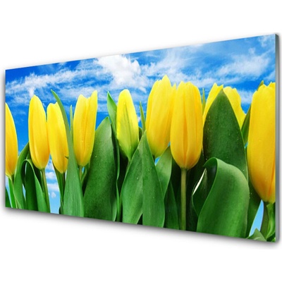 Obraz na skle Tulipány Květiny 100x50 cm