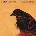 Death Cab For Cutie - Transatlanticism (Anniversary Edition) (Limited Edition) (Gatefold Sleeve) (Clear Coloured) (Reissue) (2 LP) (0655173913215)