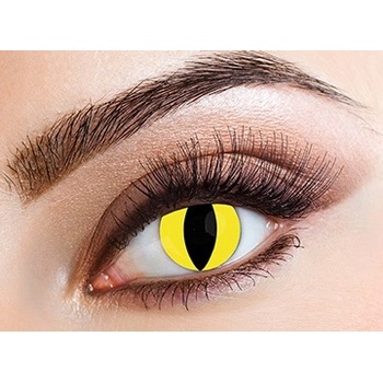 Eyecasions Лещи за очи Котка