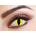 Eyecasions Лещи за очи Котка