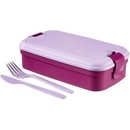 Curver box Lunch&Go fialový