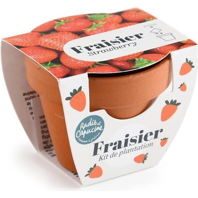 Radis et Capucine Мини теракотена саксия - Ягоди (pf143117)