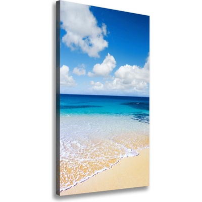 Vertikálny foto obraz na plátne Tropická pláž 50x100 cm