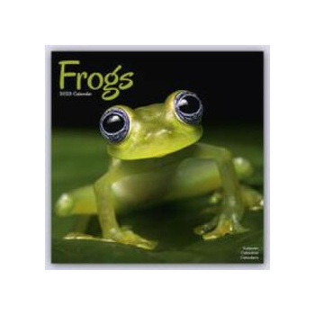 Frogs Calendar 2024 Square Animal Wall Calendar - 16 Month