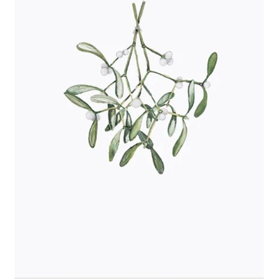 Eulenschnitt Akvarelová karta - Mistletoe