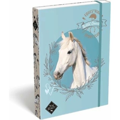 LIZZYSULI Box na zošity A4 Wild Beauty, Sport Club