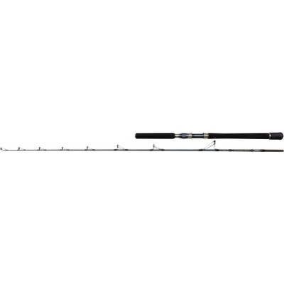 PENN Battalion Solid Boat 1,93 m 30-50 lb 2 díly