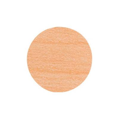 IF Krytka nalepovací 13mm 20ks 260 bříza/javor