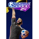Sociable Soccer 24