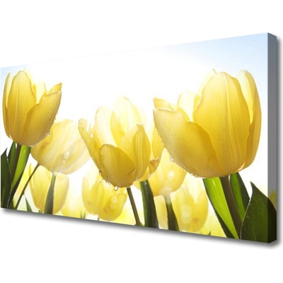 Obraz Canvas Tulipány kvety lúče 100x50 cm