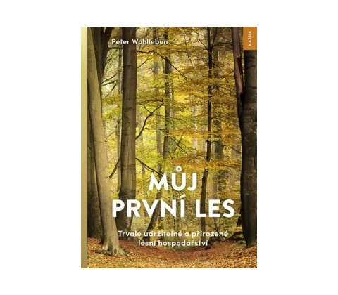 Můj první les