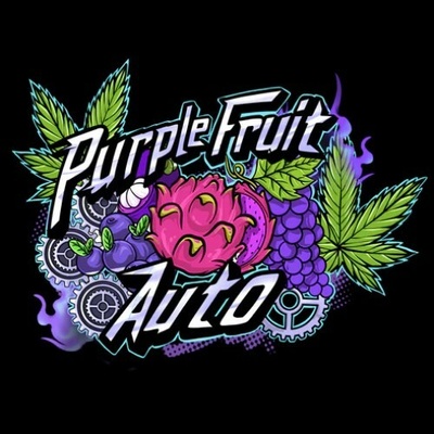 Sumo Seeds Purple Fruit Auto semienka neobsahujú THC 3 ks