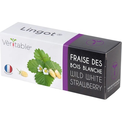 veritable Семена бели диви ягоди VERITABLE Lingot® White Wild Strawberry (VLIN-P5-Fra039)