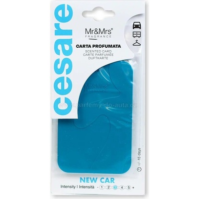 Mr&Mrs Fragrance Cesare Scented Cards New Car