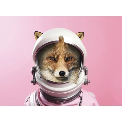 Obraz na plátne Space Fox 70x50cm