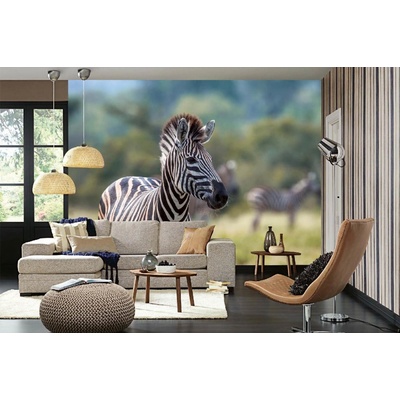 Dimex MA-5-0456 Samolepicí vliesová fototapeta na zeď Zebra stepní rozměry 375 x 250 cm