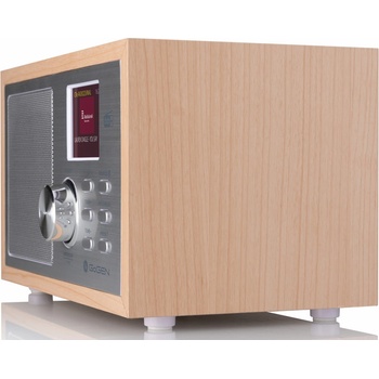 GoGEN DAB620