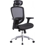 Office Express ДИРЕКТОРСКИ СТОЛ ergotech max МЕШ