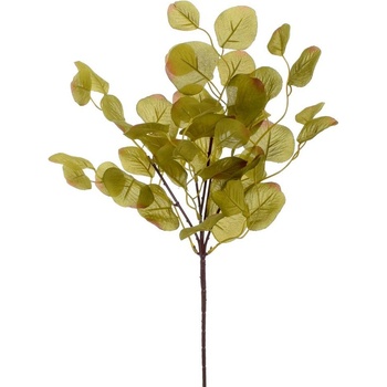 KS EUKALYPTUS ZELENÝ 49CM