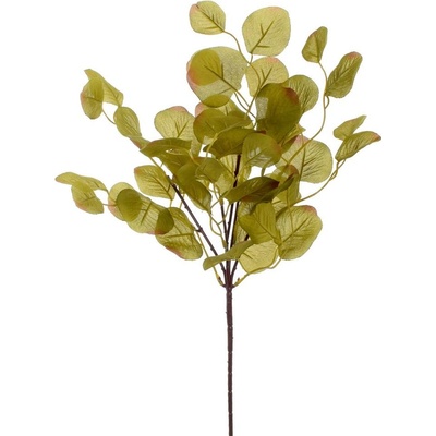 KS EUKALYPTUS ZELENÝ 49CM