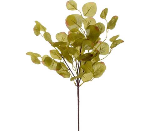 KS EUKALYPTUS ZELENÝ 49CM