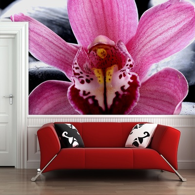 Tapeta SABLIO Růžová orchidea 336x220 cm