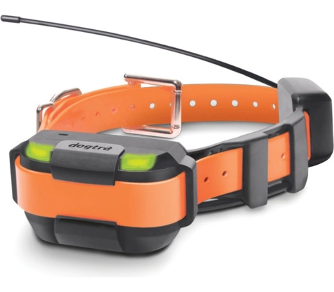 Dogtra Pathfinder 2 Mini