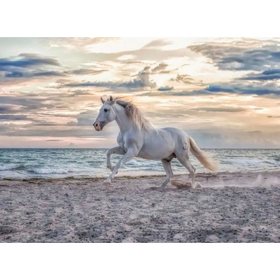 Ravensburger - Puzzle Evening Gallop - 500 piese