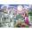 Castorland - Puzzle Princess and her unicorns - 120 piese