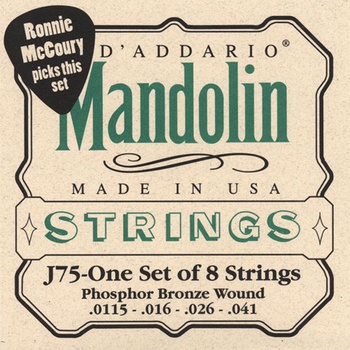 D'addario J75
