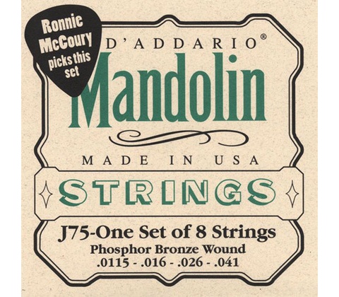 D'addario J75