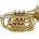 Stagg WS TR245S