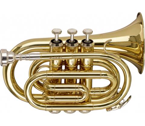 Stagg WS TR245S