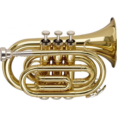 Stagg WS TR245S