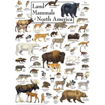 Masterpieces - Puzzle Land Mammals of North America - 1 000 piese