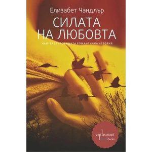 Силата на любовта (2013)