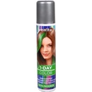 Venita 1-day Color barevný spray na vlasy zelená 50 ml