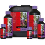 ATAMI B'cuzz Coco Bloom Stimulator 100ml