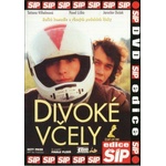 DM discont The Wild Bees - DVD (011614)