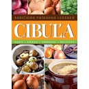 Cibuľa