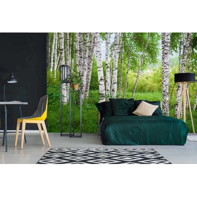 DIMEX ART Самозалепваща се флизелинова фототапета брезова горичка iv. 375 x 250 см