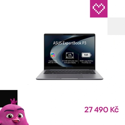 Asus ExpertBook PM3 PM3606CHA-MB0265X