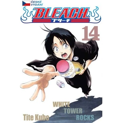 Bleach 14 – Kubo Tite