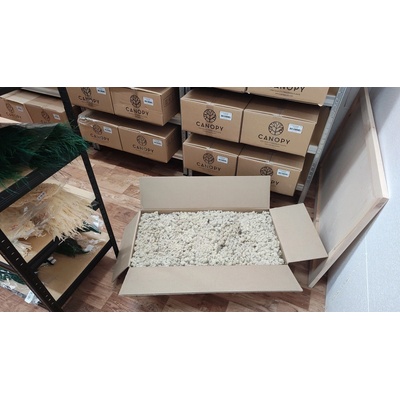 Stabilizovaný mach – sobí - lišajník – Reindeer moss - krémový - celé balenie 5kg