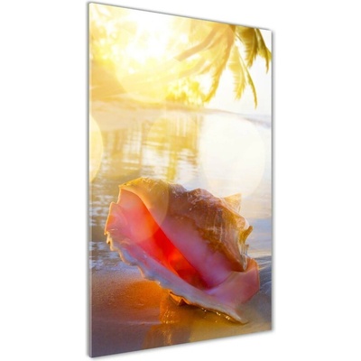 Vertikálny foto obraz fotografie na skle Mušle na pláži 50x100 cm